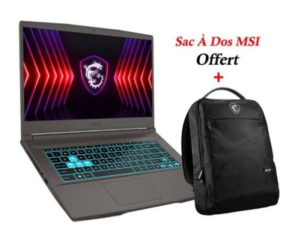 PC Portable Gamer MSI Thin 15 B13UCX i5 13è Gén 8Go RTX 2050
